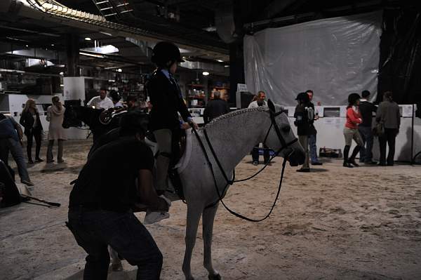 WIHS-10-24-10-DSC_9015-AroundGrounds-Indoors-DDeRosaPhoto.jpg