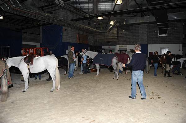 WIHS-10-24-10-DSC_9121-AroundGrounds-Indoors-DDeRosaPhoto.jpg