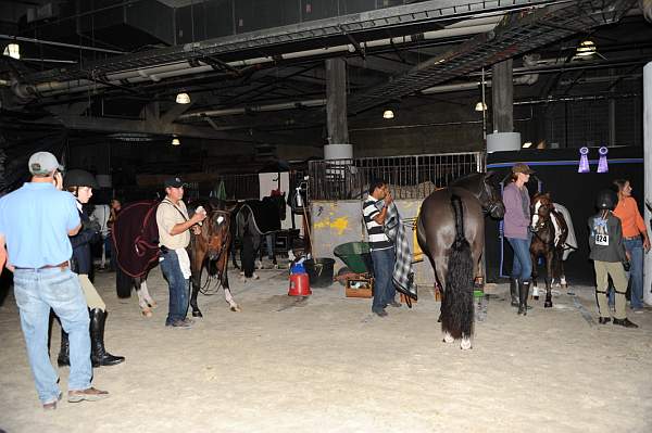 WIHS-10-24-10-DSC_9122-AroundGrounds-Indoors-DDeRosaPhoto.jpg