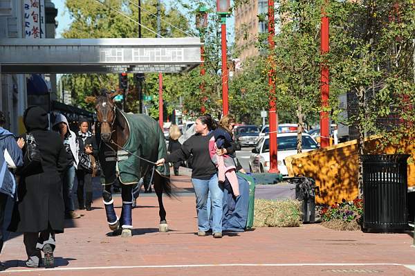 WIHS-10-19-09-DSC_422-AroundGrounds-Outdoors-DDeRosaPhoto.jpg