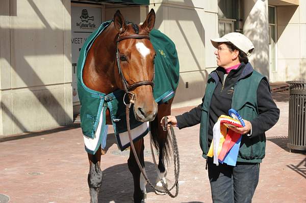 WIHS-10-21-09-DSC_2126-AroundGroundsOutside-DDeRosaPhoto.jpg
