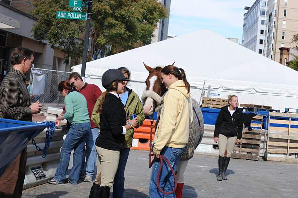 WIHS-10-25-09-DSC_2591-AroundGrounds-Outdoors-DDeRosaPhoto.jpg
