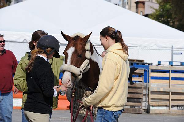 WIHS-10-25-09-DSC_2592-AroundGrounds-Outdoors-DDeRosaPhoto.jpg