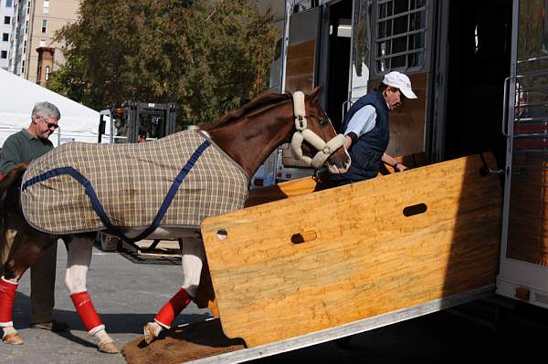 WIHS-10-25-09-DSC_2598-AroundGrounds-Outdoors-DDeRosaPhoto.jpg