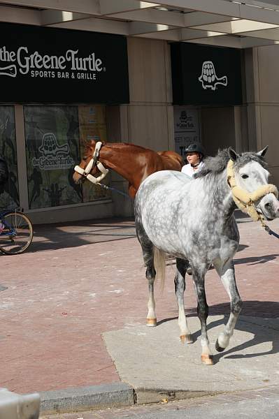 WIHS-10-25-09-DSC_2607-AroundGrounds-Outdoors-DDeRosaPhoto.jpg
