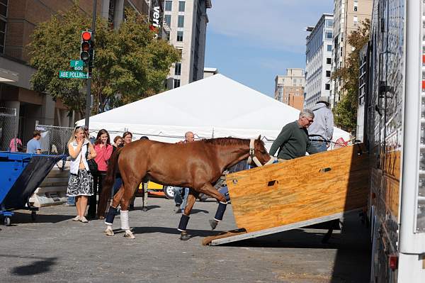 WIHS-10-25-09-DSC_2617-AroundGrounds-Outdoors-DDeRosaPhoto.jpg