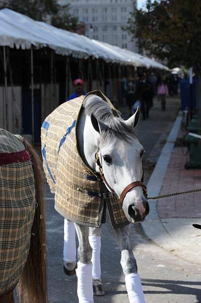 WIHS-10-25-09-DSC_2631-AroundGrounds-Outdoors-DDeRosaPhoto.jpg