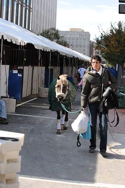 WIHS-10-25-09-DSC_2636-AroundGrounds-Outdoors-DDeRosaPhoto.jpg