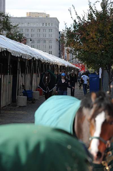 WIHS-10-25-09-DSC_2638-AroundGrounds-Outdoors-DDeRosaPhoto.jpg