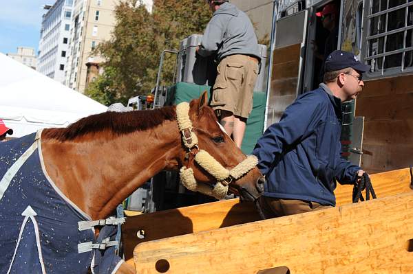 WIHS-10-25-09-DSC_2668-AroundGrounds-Outdoors-DDeRosaPhoto.jpg