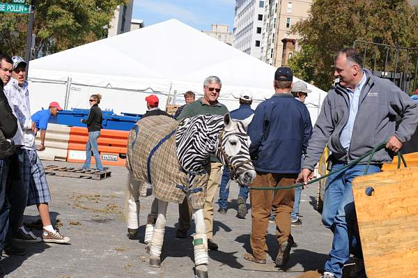 WIHS-10-25-09-DSC_2671-AroundGrounds-Outdoors-DDeRosaPhoto.jpg