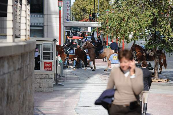 WIHS-10-25-09-DSC_2689-AroundGroundsOutside-DDeRosaPhoto.jpg