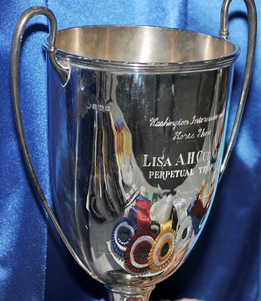 WIHS-10-20-09-DSC_9203-Awards-DDeRosaPhoto.jpg