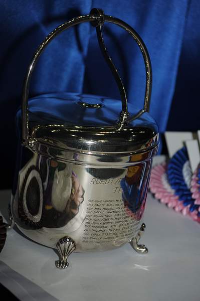 WIHS-10-20-09-DSC_9205-Awards-DDeRosaPhoto.jpg