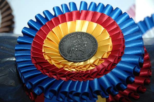 WIHS-10-23-09-DSC_0009-Awards-DDeRosaPhoto.jpg
