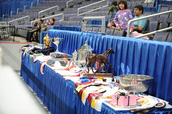 WIHS-10-24-09-DER_7930-Awards-DDeRosaPhoto.jpg