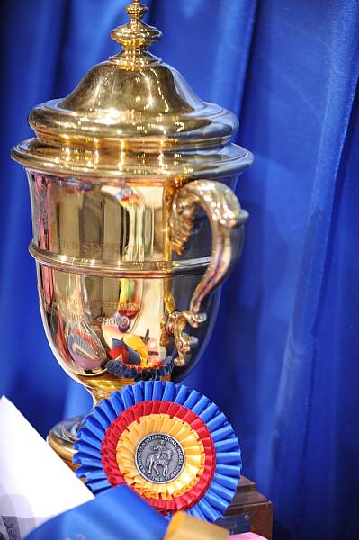 WIHS-10-24-09-DER_8176-Awards-DDeRosaPhoto.jpg