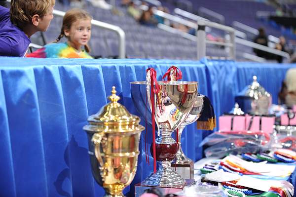 WIHS-10-24-09-DER_8182-Awards-DDeRosaPhoto.jpg