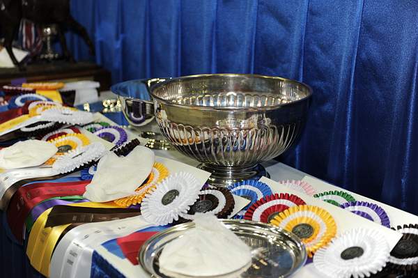 WIHS-10-24-09-DSC_9019-Awards-DDeRosaPhoto.jpg