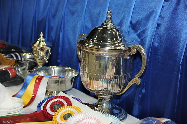 WIHS-10-24-09-DSC_9020-Awards-DDeRosaPhoto.jpg