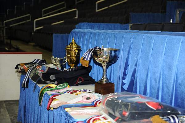 WIHS-10-24-09-DSC_9022-Awards-DDeRosaPhoto.jpg