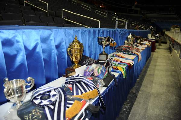 WIHS-10-24-09-DSC_9025-Awards-DDeRosaPhoto.jpg