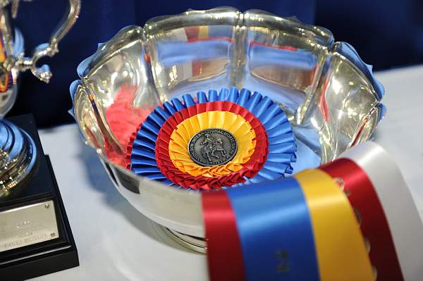 WIHS-10-24-09-DSC_9033-Awards-DDeRosaPhoto.jpg