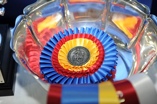 WIHS-10-24-09-DSC_9036-Awards-DDeRosaPhoto.jpg