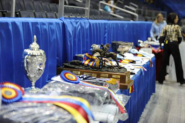 WIHS-10-25-09-DSC_1587-Awards-DDeRosaPhoto.jpg