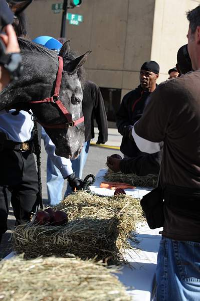 WIHS-10-21-09-DSC_1947-BreakfastwithParkPolice-DDeRosaPhoto.jpg