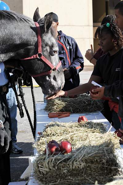 WIHS-10-21-09-DSC_1949-BreakfastwithParkPolice-DDeRosaPhoto.jpg