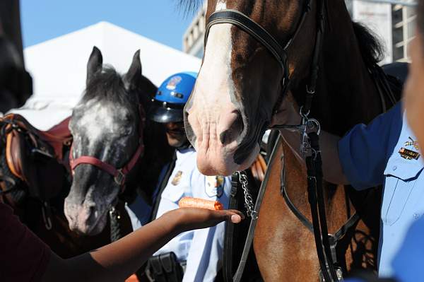 WIHS-10-21-09-DSC_1985-BreakfastwithParkPolice-DDeRosaPhoto.jpg