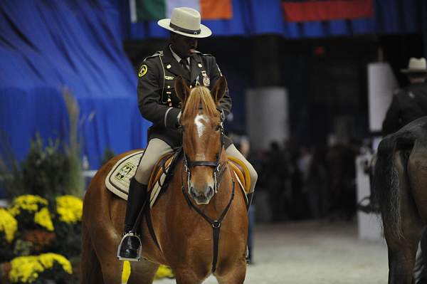 WIHS-10-23-09-DER_6762-OpJpr213-ColorGuard-DDeRosaPhoto.jpg