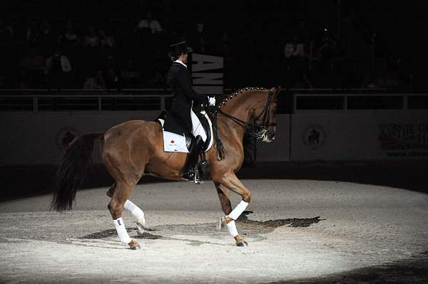 WIHS-10-22-09-DSC_6731-AshleyHolzer-PopArt-Dressage-DDeRosaPhoto.jpg