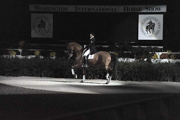WIHS-10-22-09-DSC_6734-AshleyHolzer-PopArt-Dressage-DDeRosaPhoto.jpg