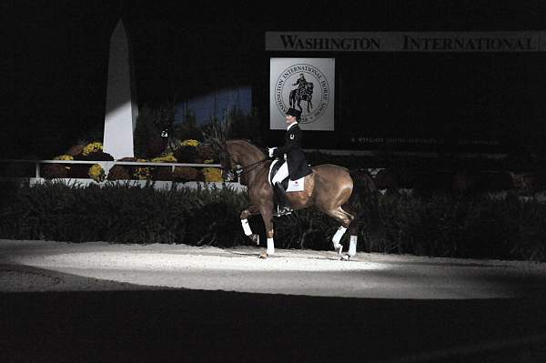 WIHS-10-22-09-DSC_6735-AshleyHolzer-PopArt-Dressage-DDeRosaPhoto.jpg