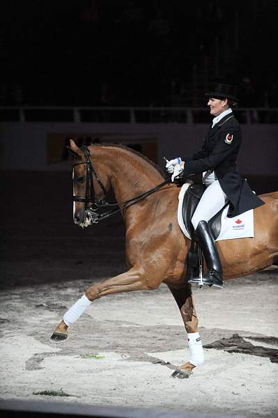 WIHS-10-22-09-DSC_6752-AshleyHolzer-PopArt-Dressage-DDeRosaPhoto.jpg