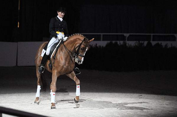 WIHS-10-22-09-DSC_6768-AshleyHolzer-PopArt-Dressage-DDeRosaPhoto.jpg