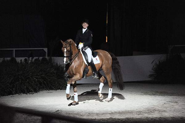 WIHS-10-22-09-DSC_6826-AshleyHolzer-PopArt-Dressage-DDeRosaPhoto.jpg
