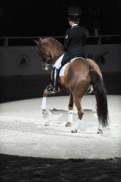 WIHS-10-22-09-DSC_6856-AshleyHolzer-PopArt-Dressage-DDeRosaPhoto.jpg