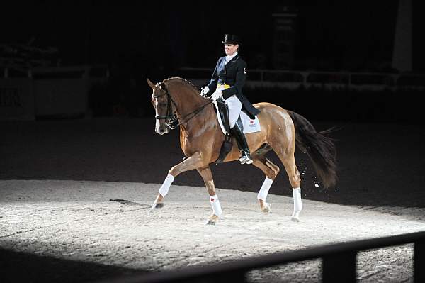 WIHS-10-23-09-DER_7316-AshleyHolzer-PopArt-Dressage-DDeRosaPhoto.jpg