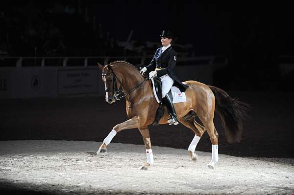 WIHS-10-23-09-DER_7318-AshleyHolzer-PopArt-Dressage-DDeRosaPhoto.jpg