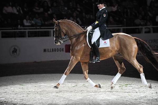 WIHS-10-23-09-DER_7323-AshleyHolzer-PopArt-Dressage-DDeRosaPhoto.jpg