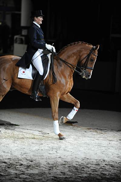 WIHS-10-23-09-DER_7330-AshleyHolzer-PopArt-Dressage-DDeRosaPhoto.jpg