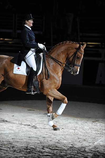 WIHS-10-23-09-DER_7333-AshleyHolzer-PopArt-Dressage-DDeRosaPhoto.jpg