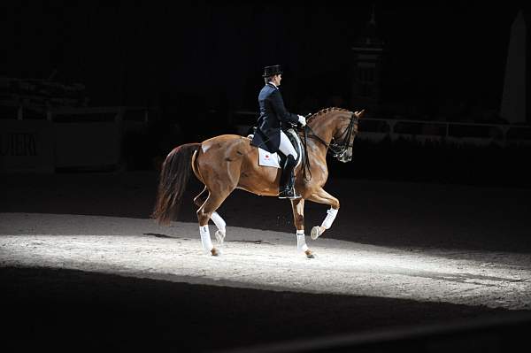 WIHS-10-23-09-DER_7351-AshleyHolzer-PopArt-Dressage-DDeRosaPhoto.jpg