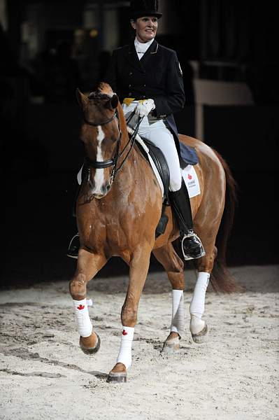 WIHS-10-23-09-DER_7431-AshleyHolzer-PopArt-Dressage-DDeRosaPhoto.jpg