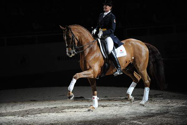 WIHS-10-23-09-DER_7448-AshleyHolzer-PopArt-Dressage-DDeRosaPhoto.jpg