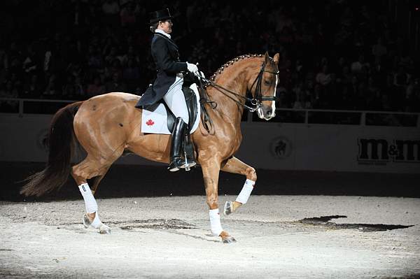 WIHS-10-24-09-DSC_0672-AshleyHolzer-PopArt-Dressage-DDeRosaPhoto.jpg