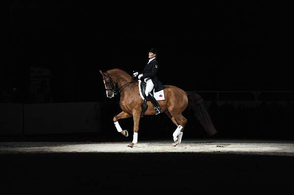WIHS-10-24-09-DSC_0712-AshleyHolzer-PopArt-Dressage-DDeRosaPhoto.jpg